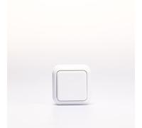 MC POWER Interruptor cruzado interruptor de superficie | galas | Interruptor de luz, interruptor basculante AP 250V/10A interruptor basculante con superficie basculante para uso en interiores, blanco