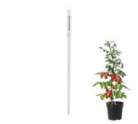 Medidor de humedad del suelo, indicador de agua para plantas, herramienta de jardín sin batería, probador de suelo que cambia de color, medidor de humedad, cuidado de plantas sin esfuerzo para macetas