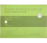 MEEDEN 10X7" papel de acuarela de algodón de algodón superficie Textured acuarecolor Pad, prensa fría, 140lb/300gsm, 20 hojas para pintura y dibujo, húmedo, técnica mixta