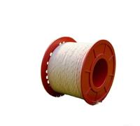MeevrgR Cuerda de arranque de nailon de 100 m para cortacésped, motosierra, recortadora, generador, arrancador de retroceso (4 mm x 100 metros)