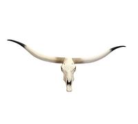 Mendler Cráneo de vaca decorativo HWC-D32AM cabeza de toro, trofeo, poliresina, 103 x 43 x 11 cm