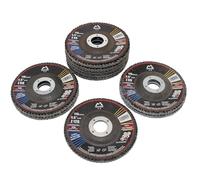 Merryland 10 Piezas Misto Disco de Láminas 115 mm Grano 40 60 80 120 T29