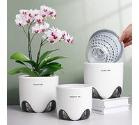 Meshpot Macetas para orquídeas de 5 Pulgadas con Agujeros para trasplantar con excelente Flujo de Aire, Juego de 2, Maceta de cerámica de imitación de plástico de Doble Capa, Maceta Transparente para