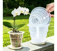 Meshpot Macetas Transparentes para orquídeas de 4 Pulgadas con Agujeros y platillos para trasplantar, Paquete de 4, pequeñas macetas de plástico para orquídeas Que proporcionan una Buena circulación