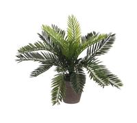 Mica decorations 83355 palmera sago cyca revoluta pvc con maceta, 33x1