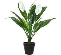 Mica decorations 947789 - flores, anturios y spathiphyllum, blanco