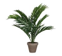 Mica decorations palm, negro, 60x60x45 cm