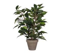 Mica decorations planta decorativa 40 x 30 cm cerámica verde pvc ficu