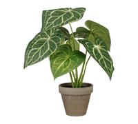 Mica decorations planta decorativa caladium Ø 21 x 28 cm artificial