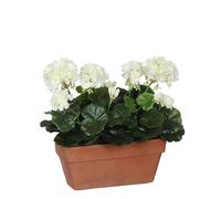 Mica decorations planta decorativa cerámica blanco amarillo pvc geran