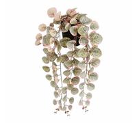 Mica Decorations Planta Decorativa Ceropegia Woodii 10 x 46 x 12 cm Artificial para Colgar
