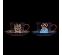 Mikasa – Tazas de té y platillos Tipperleyhill, juego de 2, porcelana fina 240 ml, aptas lavavajillas