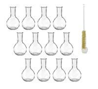 mikken 12 jarrones pequeños de Cristal de 10 cm con Cepillo Transparente de 10 cm