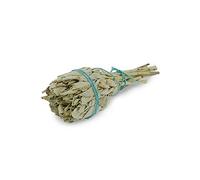 Mineral Import Antorcha Salvia Blanca California (Salvia Apiana)