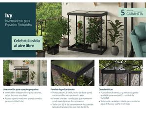 Mininvernadero de policarbonato ivy 4x2- black