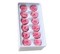 Mipcase Flores Preservadas 12 Piezas Rosas Inmortales 3-4 CM Cabezas Rosa Clara Decoración de Mesa Aniversario Boda