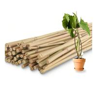 MIRAMAX - PACK 20 Tutor de bambú para plantas | Soporte natural para trepadoras y jardín | 3 tamaños disponibles Ø0.6-0.9×90 cm / Ø0.8-1.1×120 cm / Ø0.8-1.2×150 cm | Resistente, ecológico y ligero Ø0.