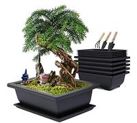 MissFox Macetas de Entrenamiento para Bonsái con Bandejas de Paquete de 6, Maceta de Bonsai Grande Rectangular de Plástico con Herramientas de Jardín para Plantas de Interior/Exterior, 23 x 17 x 8 cm