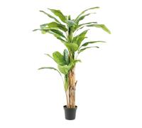 MISTERWILS FURNITURE FOR FREE SOULS - Planta Artificial Decorativa Árbol Platanero Multitronco 215cm + Maceta Básica