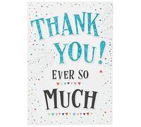 Modern Thank You Every So Much Card - Tarjeta de agradecimiento (17,78 x 12,7 cm), diseño de Piccadilly Greetings