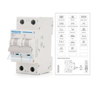 MOLLOM Disyuntor Miniatura 2P CC 250V 63A Curva C63 | Disyuntor mini personalizado con visual escenas,protección termomagnética 6kA,seccionador CC para sistemas solares