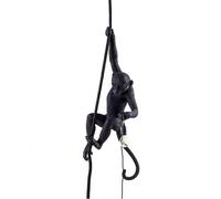 Mono Con Cuerda Lámpara de Techo Negro Exterior