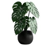 Monstera-Planta Posavasos Antideslizante Desmontable Monstera- Pad | Posavasos de mesa de café para escritorio, hogar, oficina, cocina, bar, mesa de comedor, fiesta, interior, exterior, patio