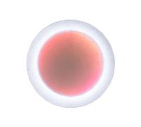 MoodMoon Lámpara de Pared Redonda 60 Blanco
