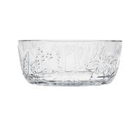 Moomin Arabia Bol Moomin 35 cl Transparente