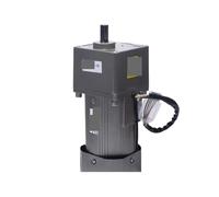 Motor asíncrono 400W 220V AC Motor reductor de engranajes 6GU3K-500K CW CCW con condensador(6GU300K 4.5rpm)
