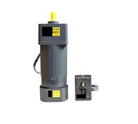 Motor asíncrono Motor de freno de 250 W Motor de engranaje de CA de 220 V con freno 6IK250RGN-CM Diámetro del eje 18 mm Chavetero 6 mm(0-22 RPM)
