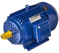 Motor De Corriente Trifásica 22 kW 380 V 1420 R/min Motor Eléctrico Industrial