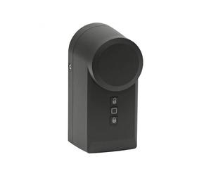 Motor para cerradura de puerta Homematic IP, color antracita, HmIP-DLD-A