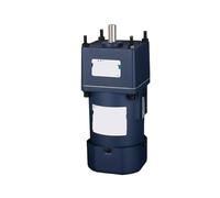 Motorreductor de engranajes de CA de 120 W, 220 V, baja velocidad, alto par, regulación de velocidad, motor eléctrico de avance y retroceso lentos.(15 axes,300 rpm)