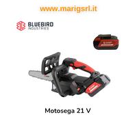Blue Bird THCS 22-07 - Electrosierra de batería 2 x 21V 5Ah - Espada de 20cm