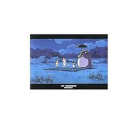 Movic My Neighbor Totoro 646893 - Archivador transparente (tamaño A4)
