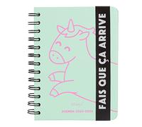 Mr.Wonderful - Agenda adolescente pequeño formato 2023-2024 Semainier Mint - Haz que suceda