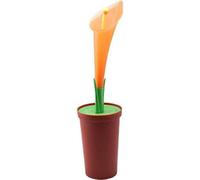 MSV Cepillo 100.118 Aseo Flor MDF/Acero Multicolor 49,5 x 13 x 0,1 cm