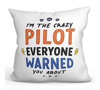 MUGFFINS Cojín 40x40 cm para PILOTO DE AVIÓN Relleno Incluído - En Inglés - Everyone Warned You About - Regalo Original y Divertido