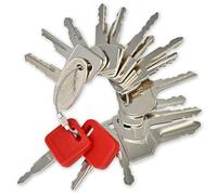 MULTIPICK juego de llaves para maquinaria de construcción [16 Clave] repuestos agrícolas - Juego De Llaves Encendido - llave de contacto - llave arranque tractor - interruptor arranque tractor