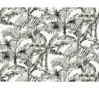 Mural papel liso limpieza con paño húmedo naturaleza etnic palmeras 485806 multicolor 400 x 300 cm rasch