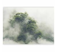 murando Fotomurales autoadhesivo Bosque Niebla 343x256 cm Papel Pintado Decoración de Pared Murales Pegatina decorativos adhesivos 3d moderna de Fotográfico Naturaleza Arbol Paisaje b-B-0486-a-a