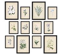 Nacnic - Conjunto de 12 Impresiones de Flores Geniales - Estilo Mixto - Póster de Arte para Decoración de Paredes Beige A3 & A4