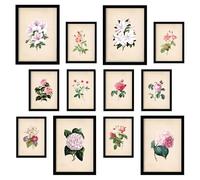 Nacnic - Conjunto de 12 Póster de Arte de Flores Rosas - Estilo Mixto - Perfecto para Decorar Paredes Black A3 and a4