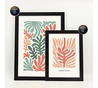 Nacnic Conjunto de 6 Pósters Minimalistas en Colores Pastel - Patrones de Plantas - Impresiones de Paisajes y Naturaleza - Diseño y Decoración - Marcos Negros Beige A3 and a4