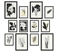 Nacnic Conjunto de Diseño Botánico 1 - 12 Piezas - Estilo Botánico - Decoración del Hogar - Póster de Arte de Pared White A3 & A4