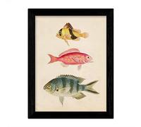 Nacnic Lámina de tres peces amarillo y marron rojo, rosa, y azul y gris en tamaño A4, fondo papel vintage Poster papel 250 gr. Sin Marco