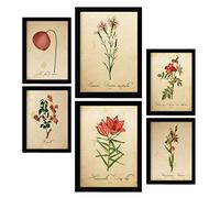 Nacnic Posters de Flores Rojas. Ilustraciones de Naturaleza y Botánica Estilo Papel Vintage con Temas Florales. Diseño Moderno para la Decoración de Interiores. A4 & A3.
