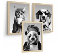 Nacnic Set De 3 Láminas Animales Divertidos Blanco Y Negro Cuadros Cocina Gato Dálmata Y Panda Chef Póster Decoración Pared A4 Sin Marco