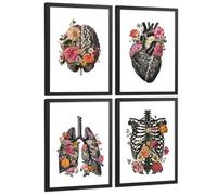 Nacnic Set De 4 Láminas Decorativas Anatomía Posters Y Cuadros Con Cerebro Corazón Pulmones Sistema Respiratorio Costillas Columna Vertebral Diseño Floral Moderno Tamaño A4 Marco Negro